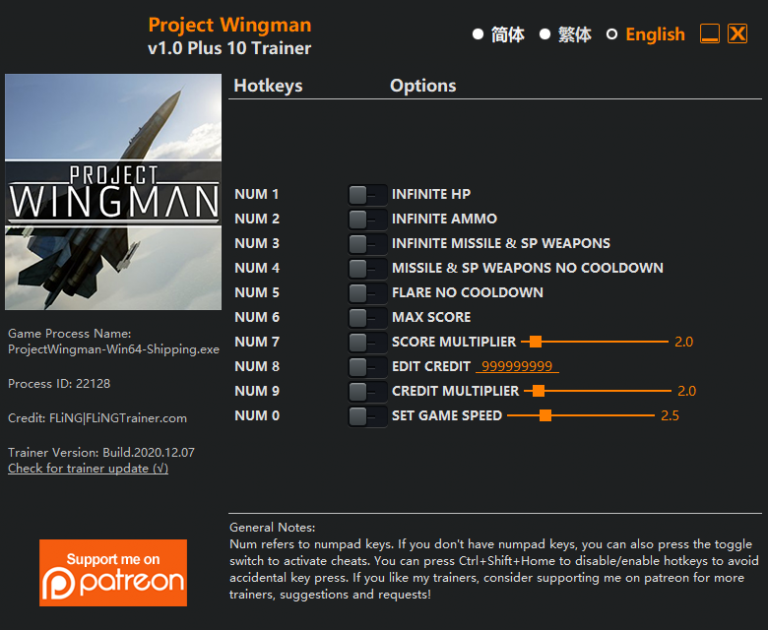 Project Wingman Trainer +10