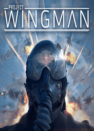 Project Wingman Trainer