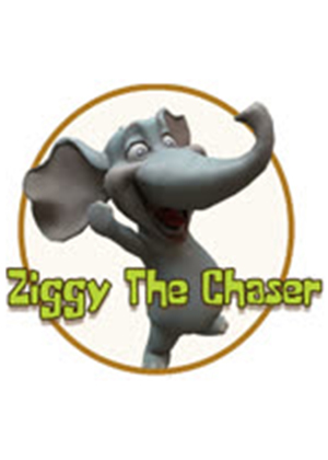 Ziggy The Chaser Trainer +2