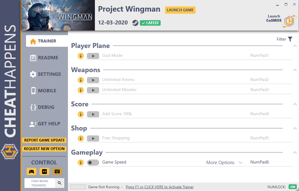 Project Wingman Trainer