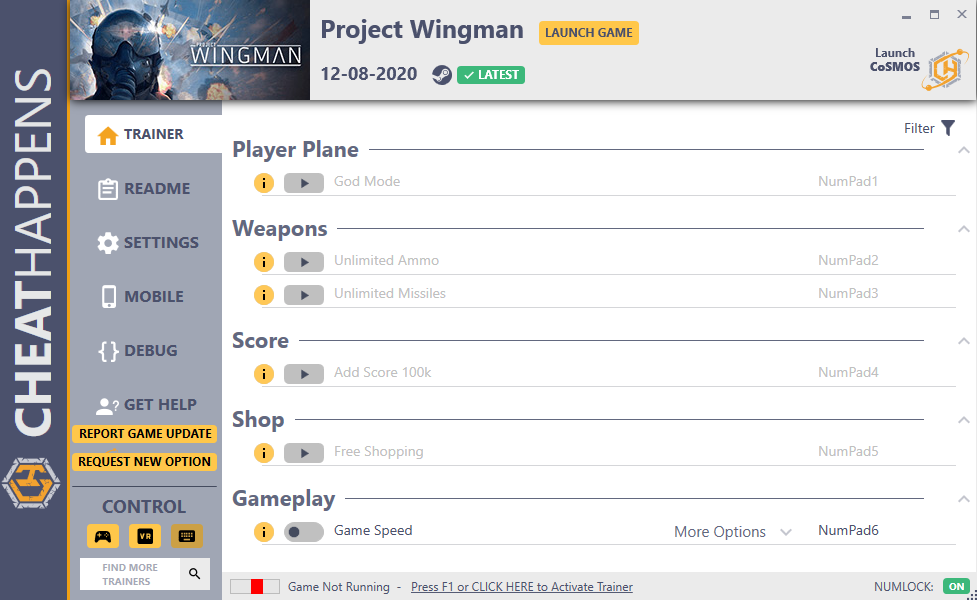 Project Wingman v12.08.2020 Trainer